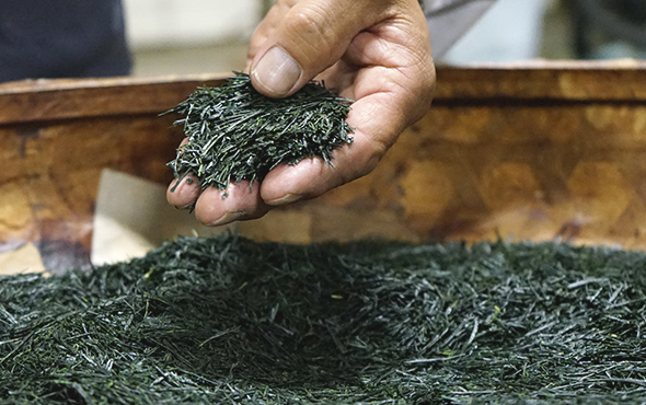 こだわりの宇治茶の生産イメージ